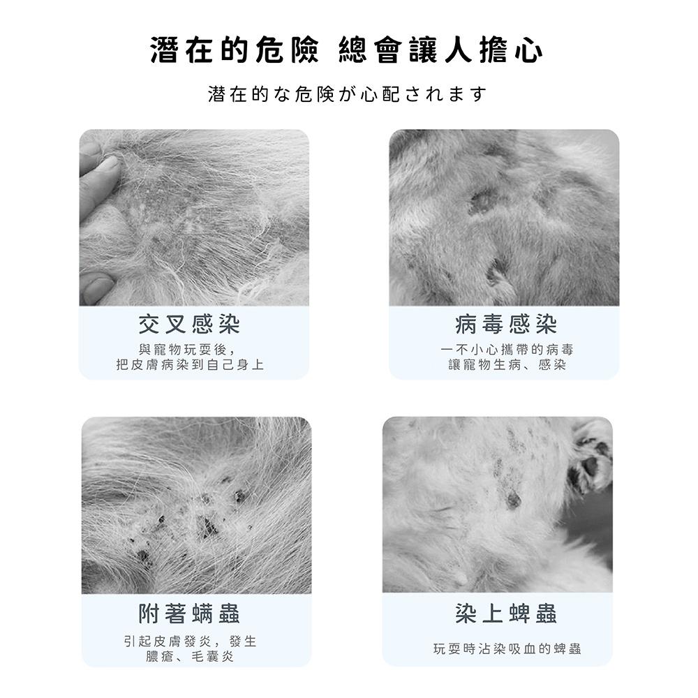 [台灣現貨 快速出貨]寵物項圈 精油項圈 寵物精油項圈 項圈 貓狗精油項圈 天然精油-細節圖2