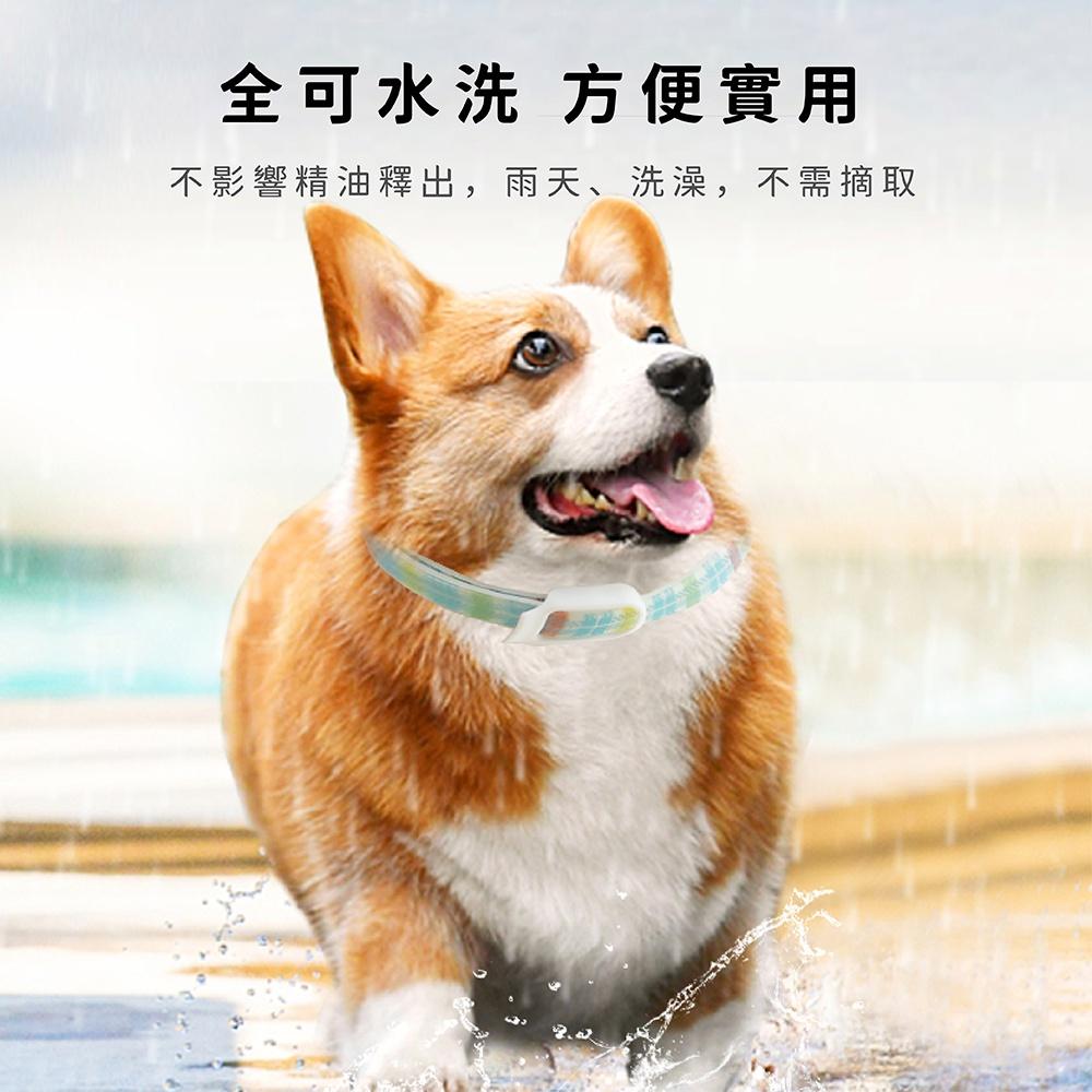 [台灣現貨 快速出貨]寵物項圈 精油項圈 寵物精油項圈 項圈 貓狗精油項圈 天然精油-細節圖7