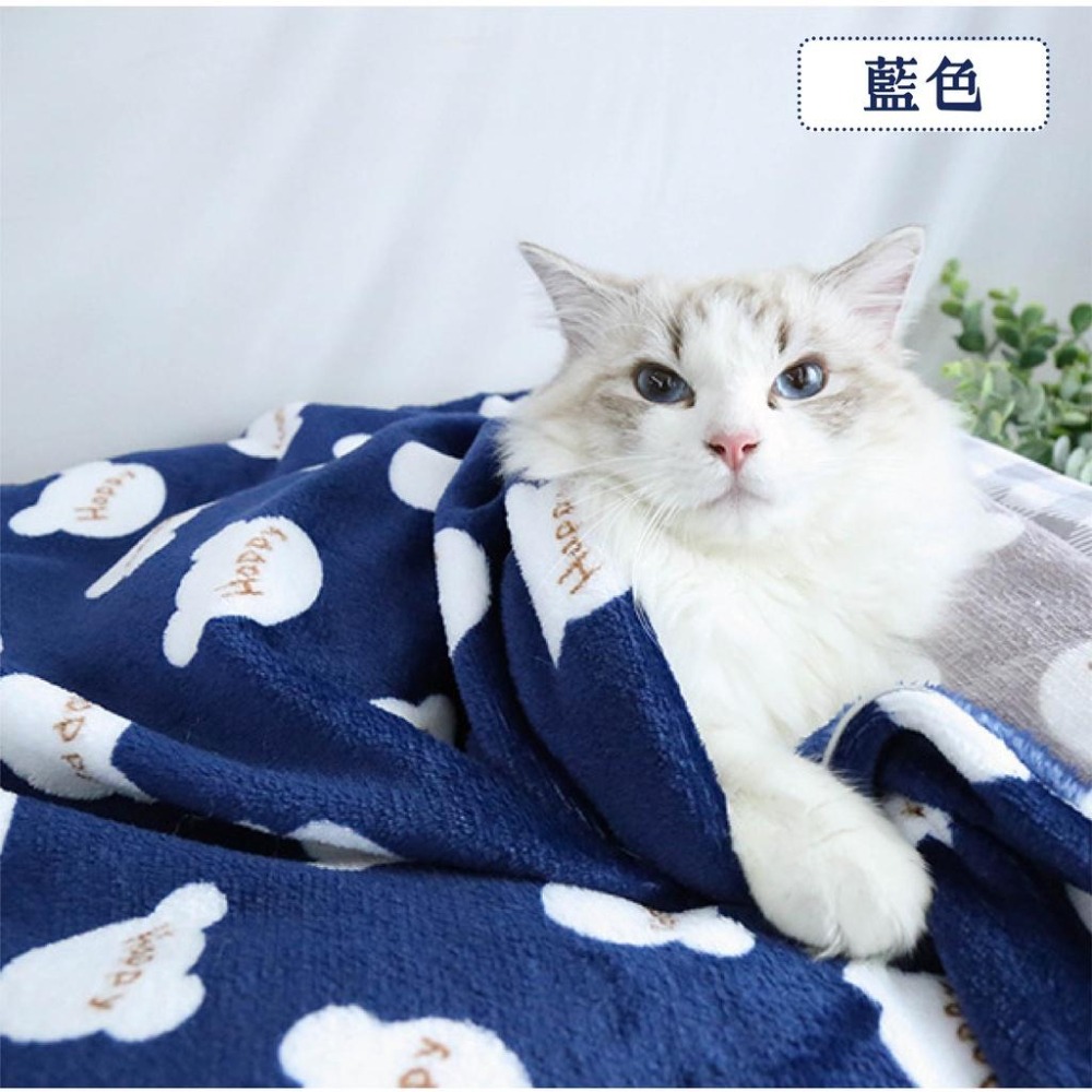 [台灣出貨 快速出貨]寵物法蘭絨寵物毛毯 寵物毯 冬季必備優質寵物毛毯  法蘭絨毯 寵物被子 寵物窩 睡毯 寵物睡窩-細節圖6