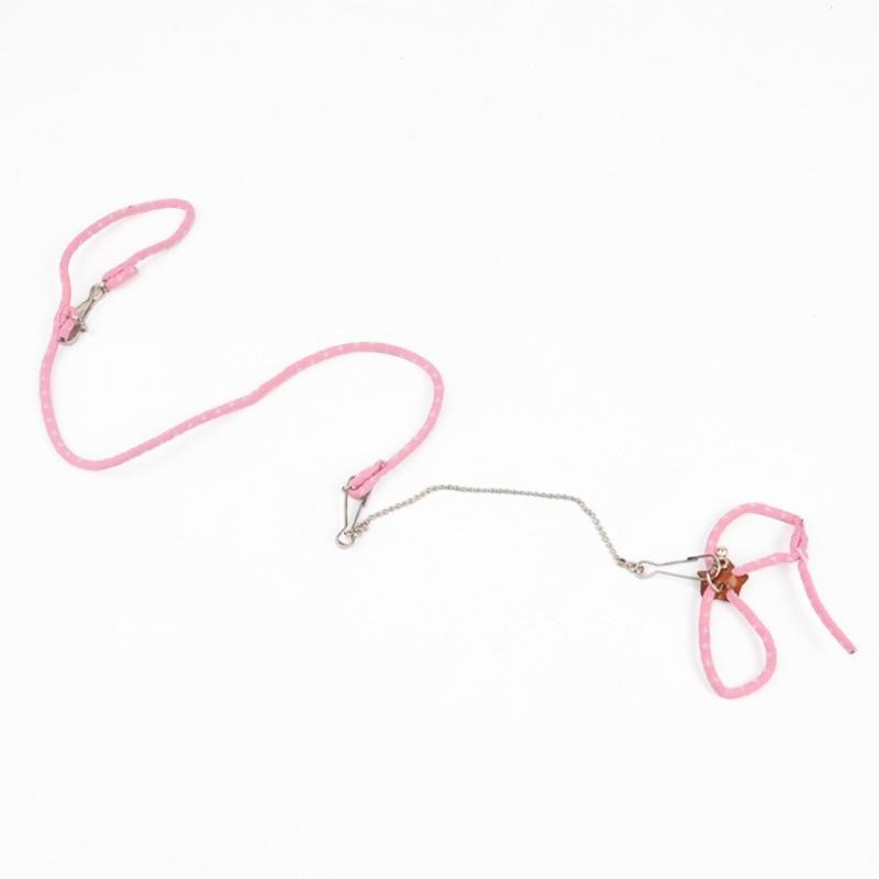 [台灣現貨快速出貨]鼠鼠牽引繩 小寵牽引繩 倉鼠牽引繩 鼠類牽引繩 鼠鼠外出 倉鼠牽引帶 倉鼠 黃金鼠 散步繩 寵物用品-細節圖6