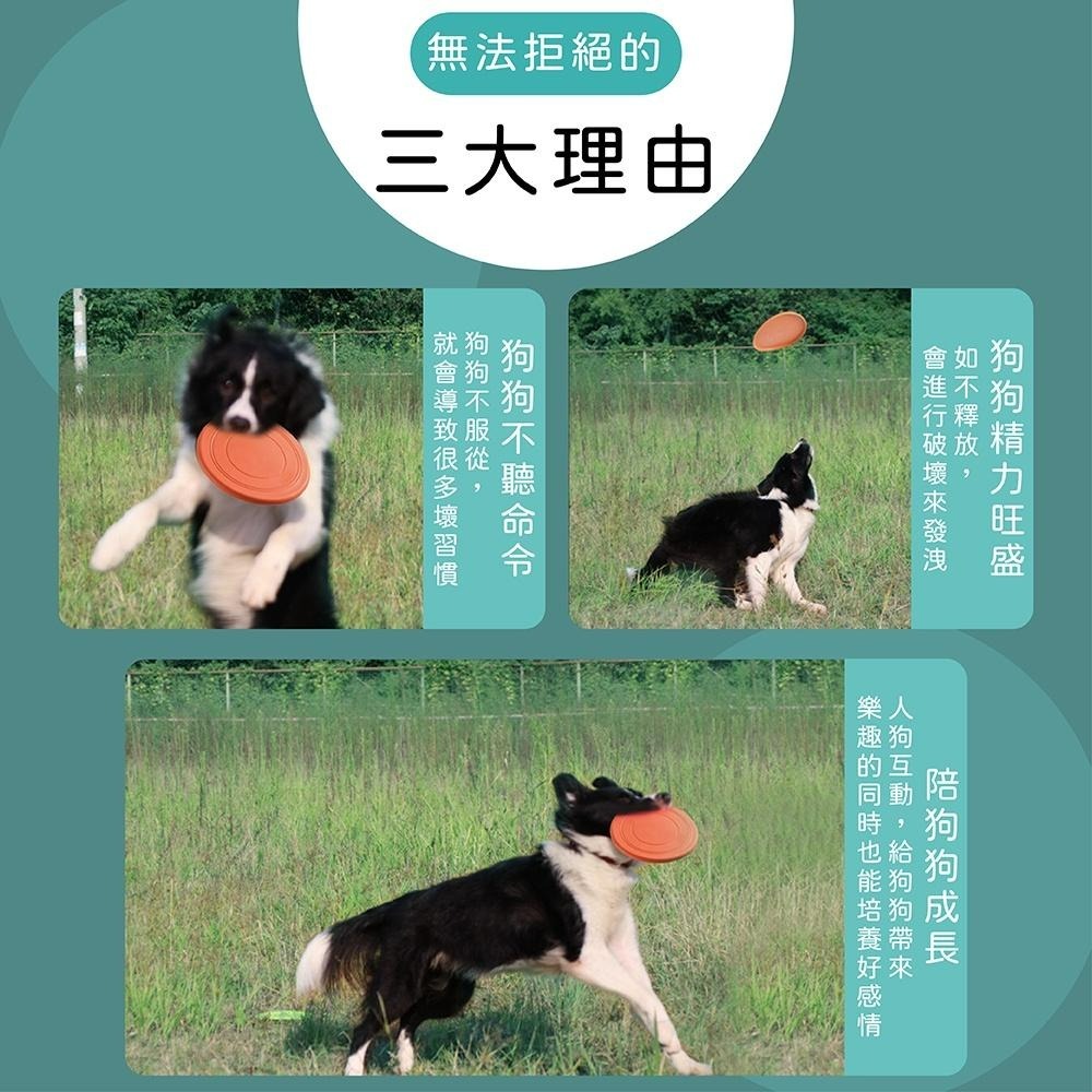 [台灣現貨 快速出貨]寵物玩具 寵物訓練飛盤 寵物矽膠軟飛盤 狗飛盤 寵物玩具 寵物飛盤 塑膠飛盤-細節圖2