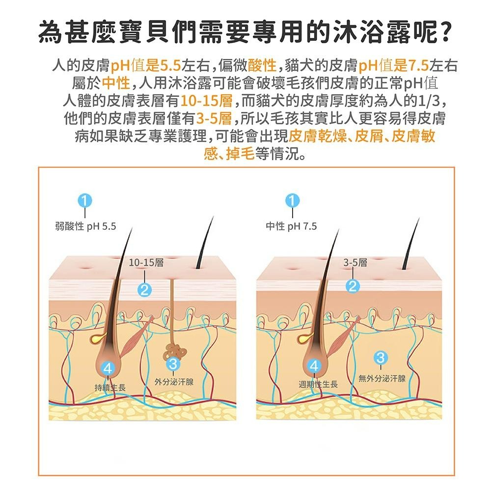 [台灣現貨 快速出貨]寵物沐浴乳 寵物沐浴露 沐浴乳 貓咪洗澡 狗狗洗澡 寵物清潔 香波除臭留香 480ml 寵物洗澡-細節圖2