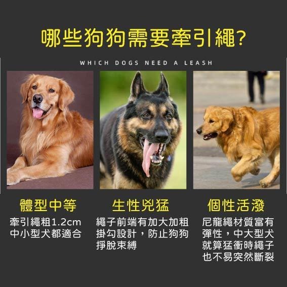 [台灣現貨 快速出貨]寵物繩 狗繩 牽繩 狗牽繩 寵物狗繩 中性犬 大型犬 小型犬 寵物用品 狗用品 粗狗繩-細節圖4