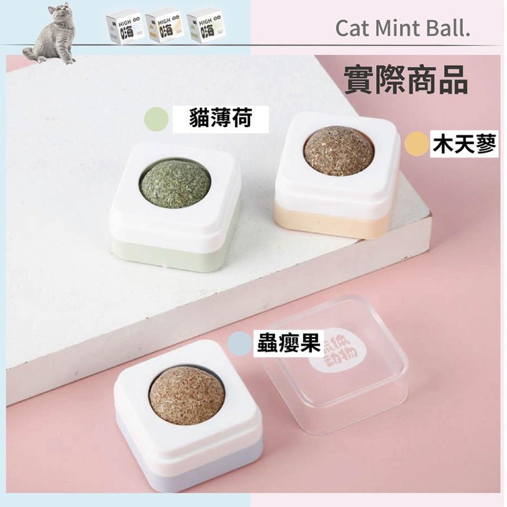 [台灣現貨 快速出貨]貓草球 貓薄荷 旋轉貓薄荷球 逗貓神器 貓放鬆 貓磨牙 潔牙棒 貓薄荷 貓零食 去毛球 貓糖-細節圖6