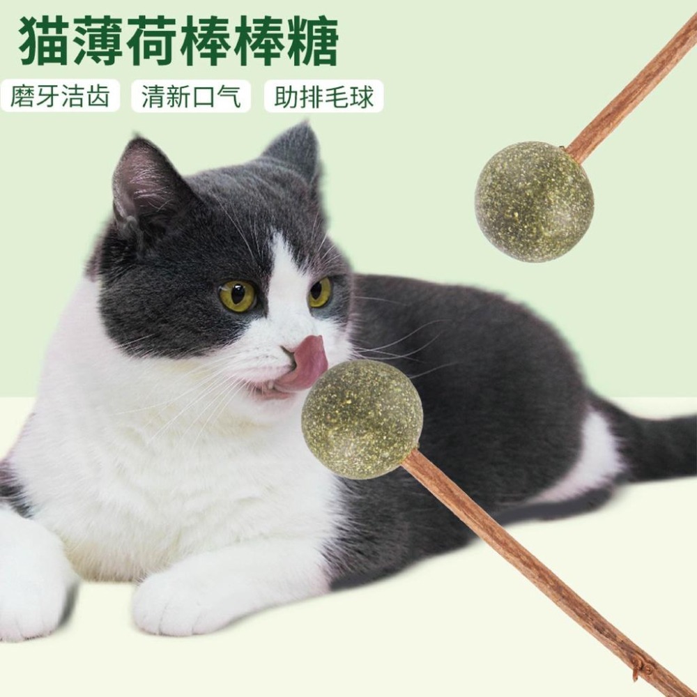 [台灣現貨 快速出貨]貓草球 貓薄荷 旋轉貓薄荷球 逗貓神器 貓放鬆 貓磨牙 潔牙棒 貓薄荷 貓零食 去毛球 貓糖-細節圖7