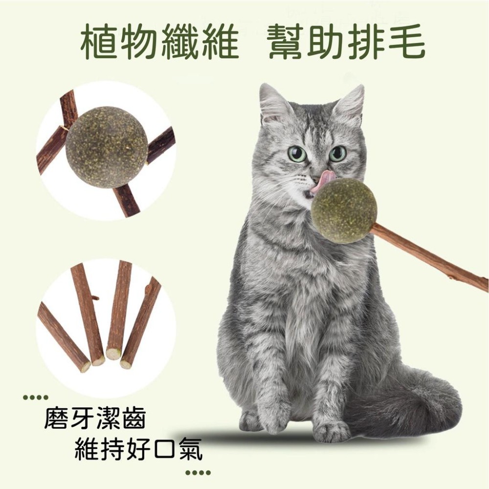 [台灣現貨 快速出貨]貓草球 貓薄荷 旋轉貓薄荷球 逗貓神器 貓放鬆 貓磨牙 潔牙棒 貓薄荷 貓零食 去毛球 貓糖-細節圖8