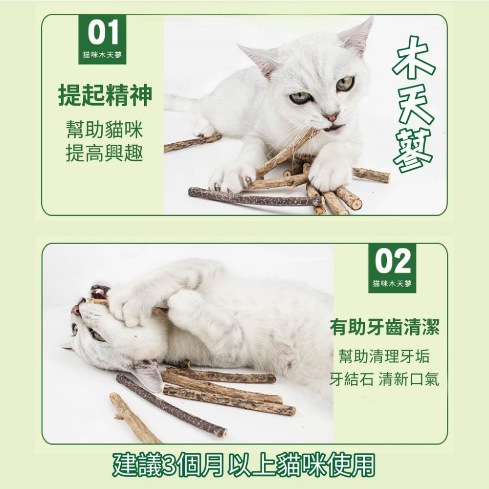 [台灣現貨 快速出貨]貓草球 貓薄荷 旋轉貓薄荷球 逗貓神器 貓放鬆 貓磨牙 潔牙棒 貓薄荷 貓零食 去毛球 貓糖-細節圖9