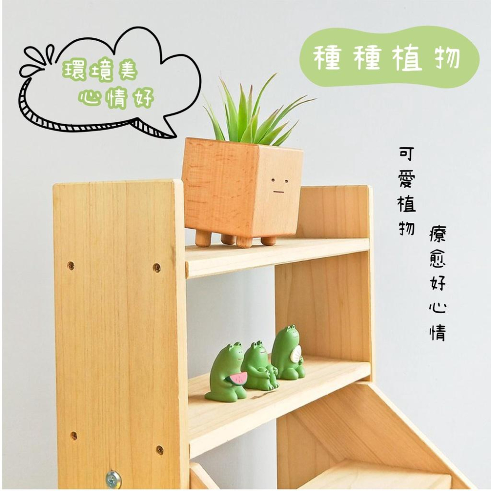 [台灣設計 快速出貨]造型花器 花盆 小盆獸盆栽 方形盆器 交換禮物 生日禮物 童心木 TOSMU 多肉 室內小盆栽-細節圖2