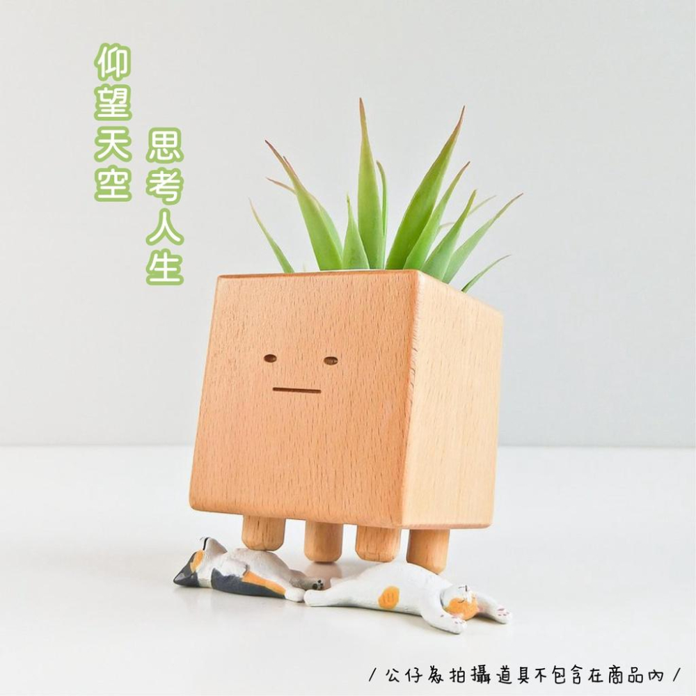 [台灣設計 快速出貨]造型花器 花盆 小盆獸盆栽 方形盆器 交換禮物 生日禮物 童心木 TOSMU 多肉 室內小盆栽-細節圖3