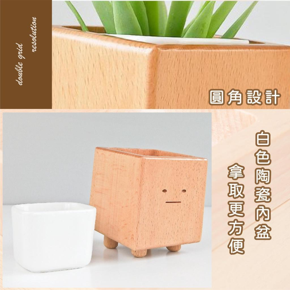 [台灣設計 快速出貨]造型花器 花盆 小盆獸盆栽 方形盆器 交換禮物 生日禮物 童心木 TOSMU 多肉 室內小盆栽-細節圖4