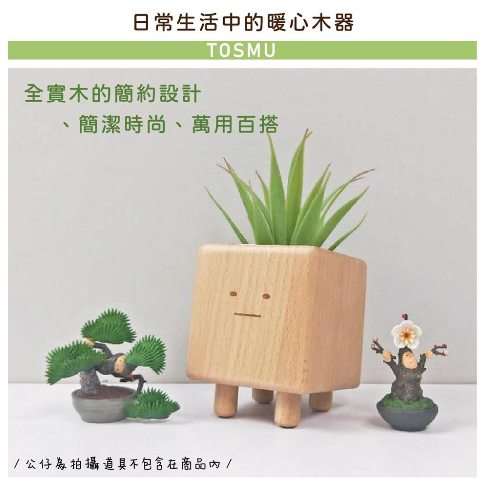 [台灣設計 快速出貨]造型花器 花盆 小盆獸盆栽 方形盆器 交換禮物 生日禮物 童心木 TOSMU 多肉 室內小盆栽-細節圖5