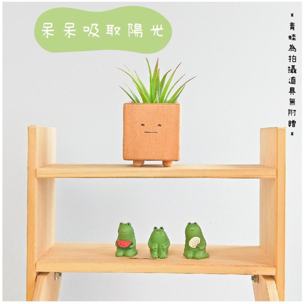 [台灣設計 快速出貨]造型花器 花盆 小盆獸盆栽 方形盆器 交換禮物 生日禮物 童心木 TOSMU 多肉 室內小盆栽-細節圖6