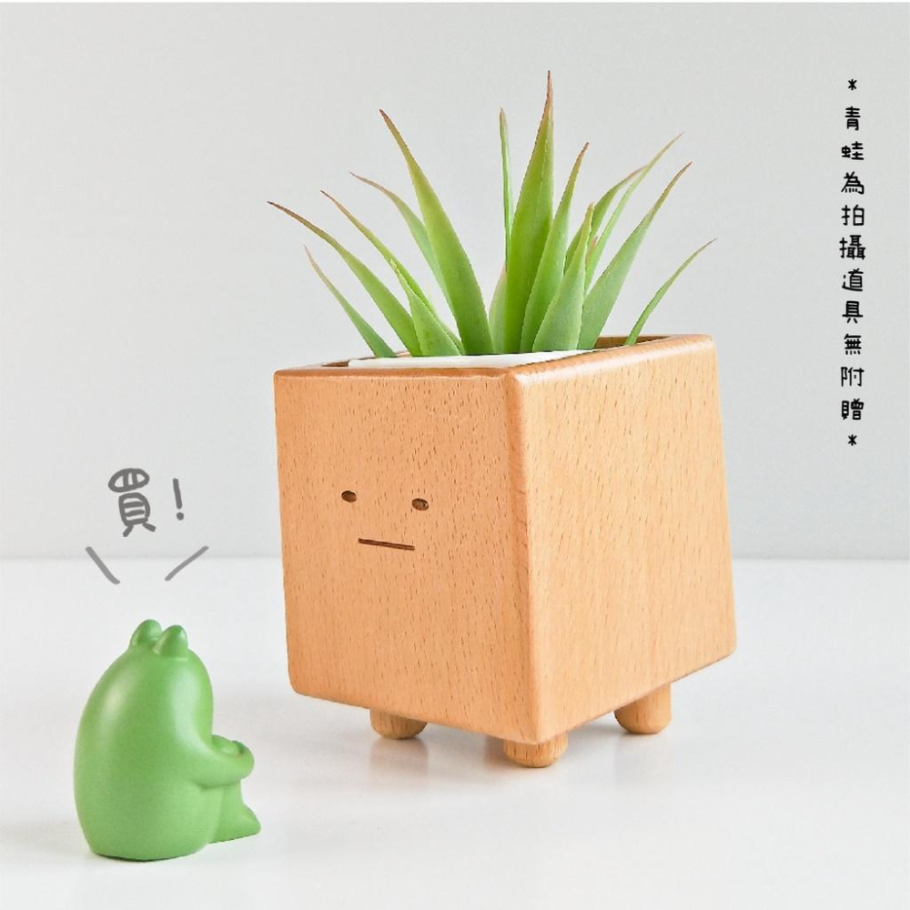 [台灣設計 快速出貨]造型花器 花盆 小盆獸盆栽 方形盆器 交換禮物 生日禮物 童心木 TOSMU 多肉 室內小盆栽-細節圖9