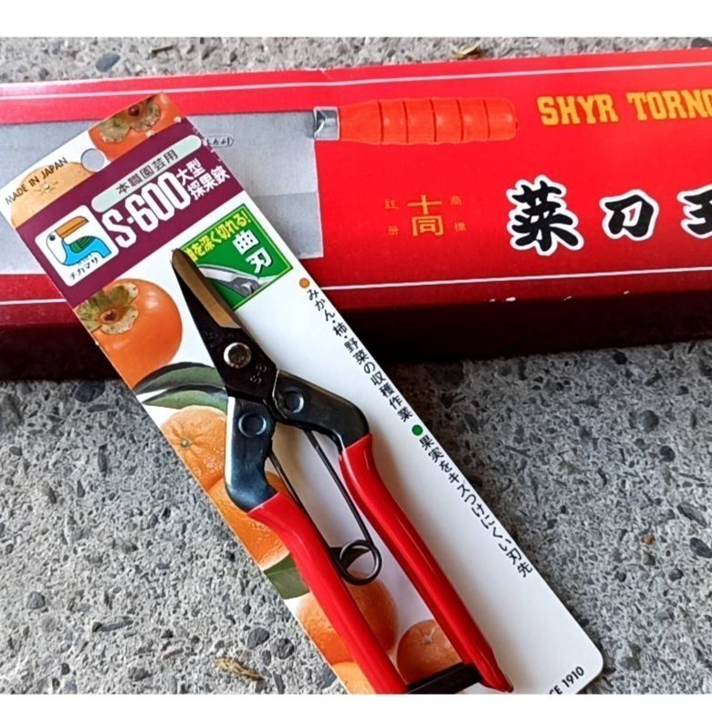 55大型採果鋏 S-600大曲刃刃長30 摘果鋏 CHIKAMASA近正日本製造 收穫鋏柿子剪大型柑橘橘子剪花剪園藝剪-細節圖2