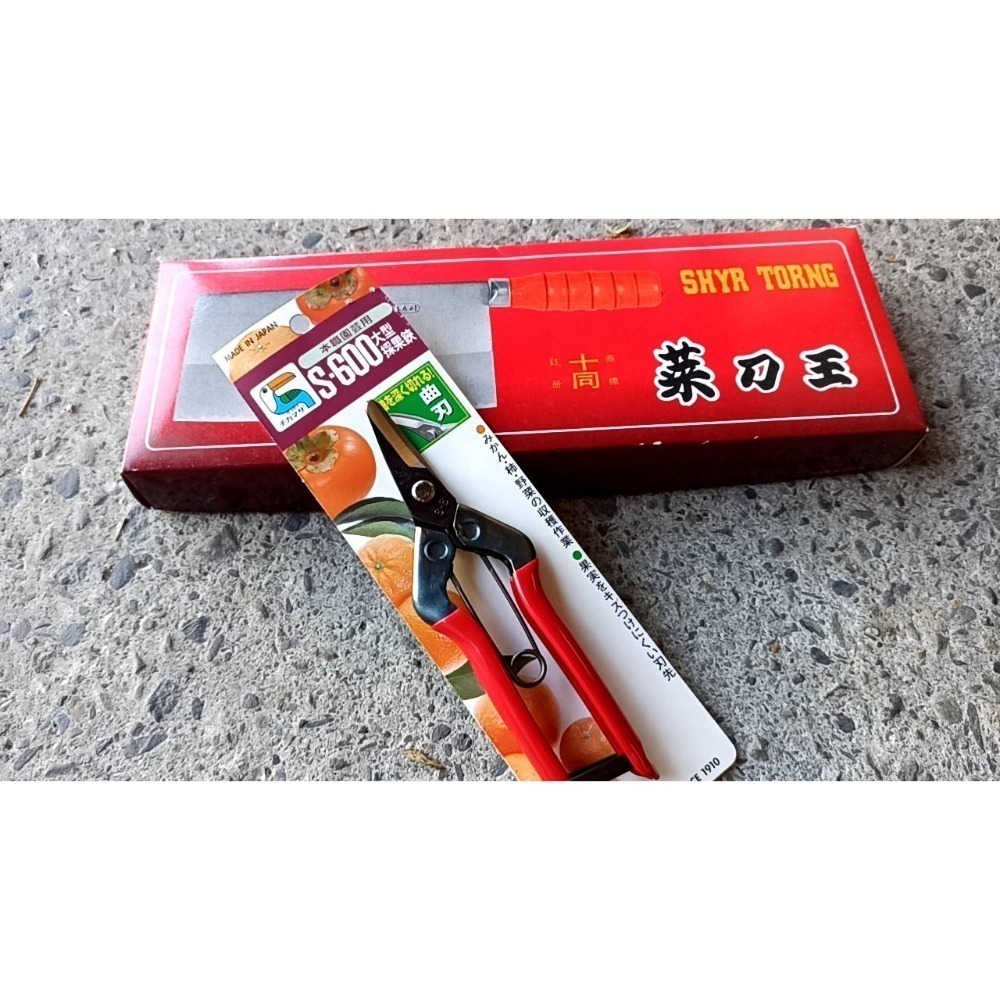 55大型採果鋏 S-600大曲刃刃長30 摘果鋏 CHIKAMASA近正日本製造 收穫鋏柿子剪大型柑橘橘子剪花剪園藝剪-規格圖9