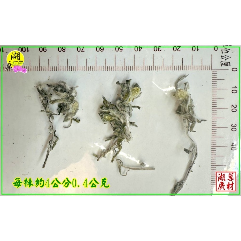 鼠麴草 細葉鼠麴草 最香甘甜鼠麴草 製作草仔粿原料 粉 與 乾 ,啟陞食品,台北市迪化街一段74號-細節圖7