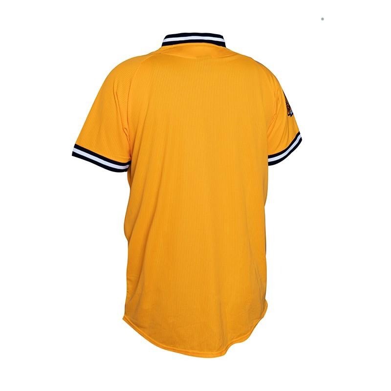 【現貨】中信兄弟球衣 經典黃衫中文球衣 刺繡 電繡 兄弟象 中信兄弟 客製化球衣 中華職棒-細節圖8