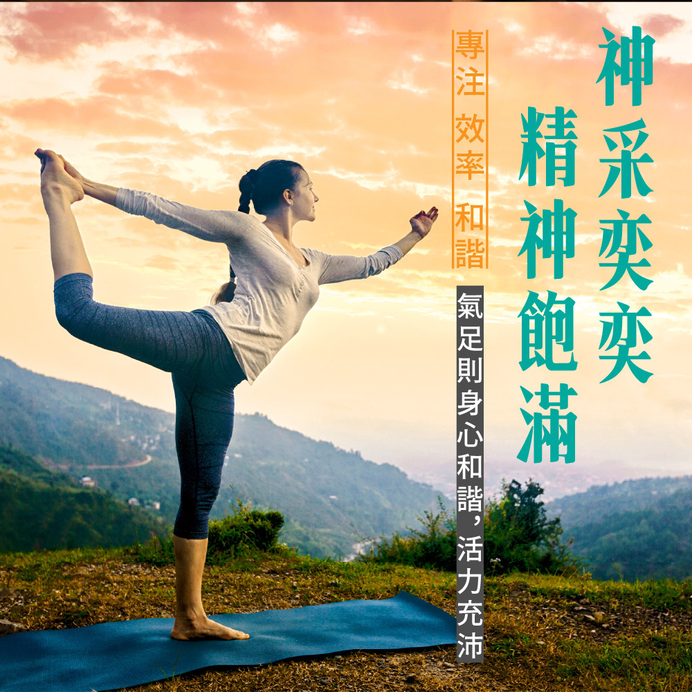 傳世生藥｜元氣茶 補氣茶 黃耆枸杞紅棗｜正品公司貨【傳世良品】-細節圖3