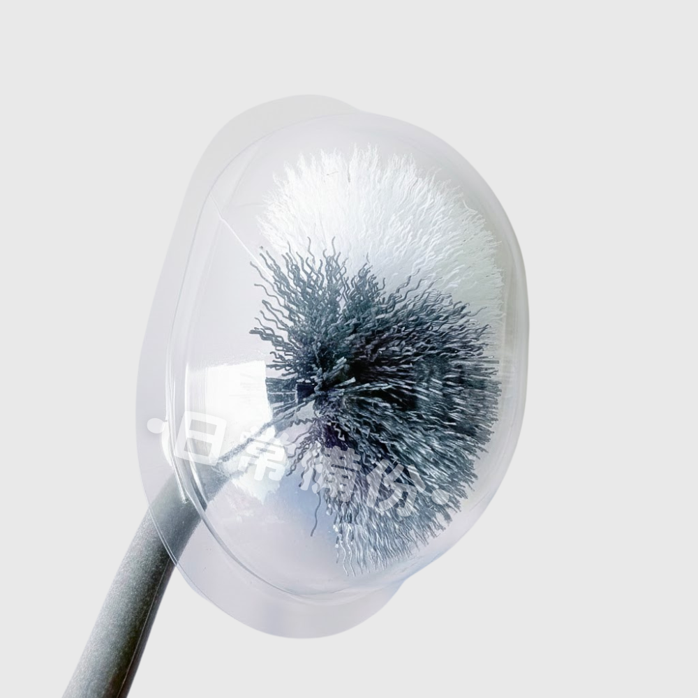 粉彩小兔 日式馬桶刷 馬桶刷 浴室 清潔刷 浴室必備 浴室用品 日式馬桶刷 馬桶刷掛式 馬桶刷長柄 馬桶 日用品 刷子-細節圖5