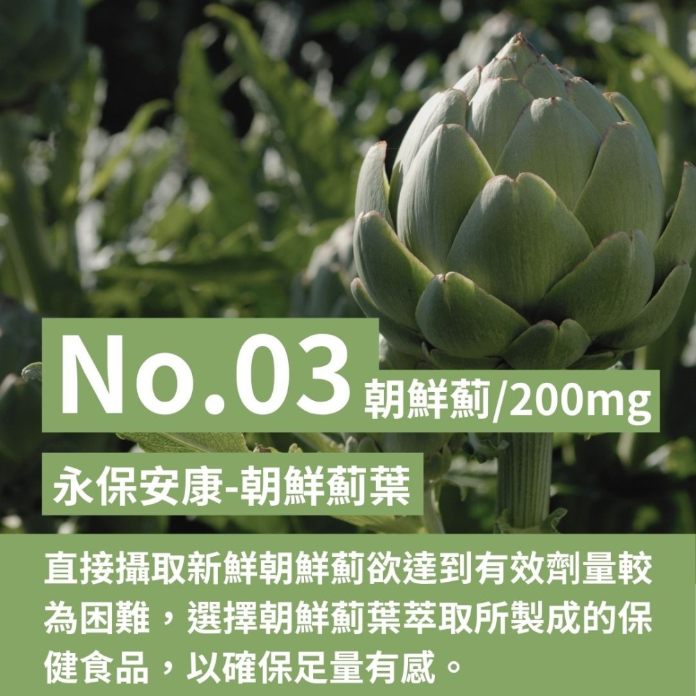 紐森樹 朝鮮薊 60粒/瓶 酵母菌 薑黃根 十字珍珠草 螺旋藻萃取 重酒石酸膽鹼 美國進口保健食品-細節圖2