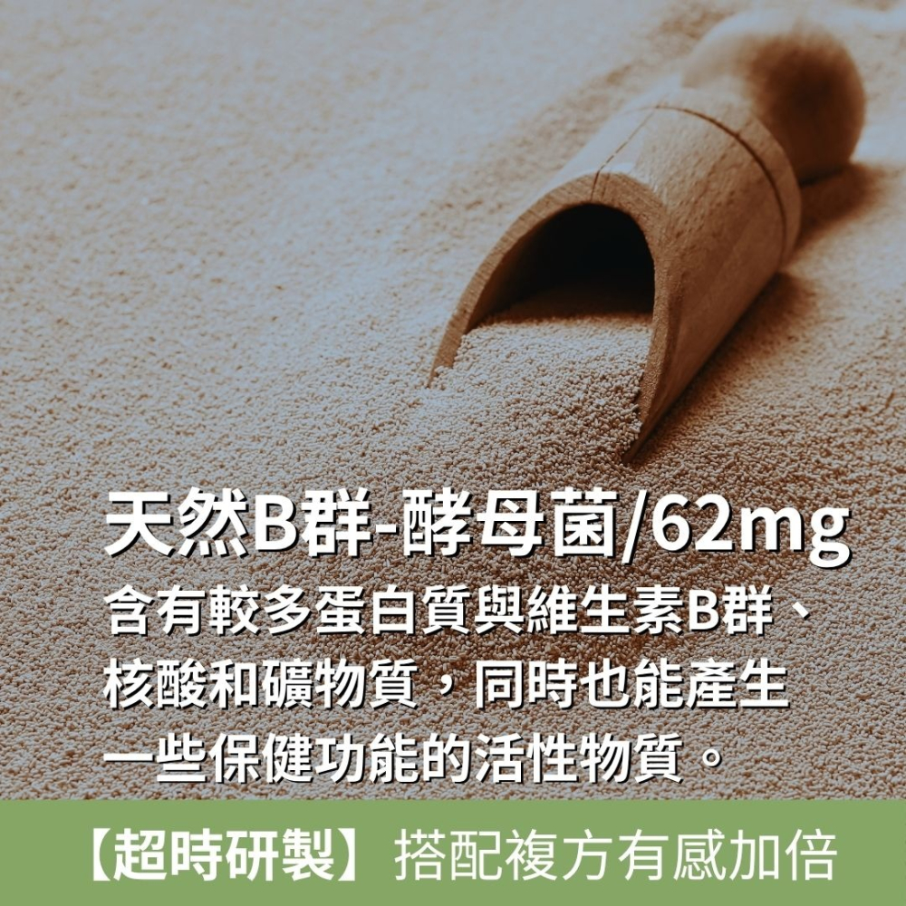 紐森樹 朝鮮薊 60粒/瓶 酵母菌 薑黃根 十字珍珠草 螺旋藻萃取 重酒石酸膽鹼 美國進口保健食品-細節圖3