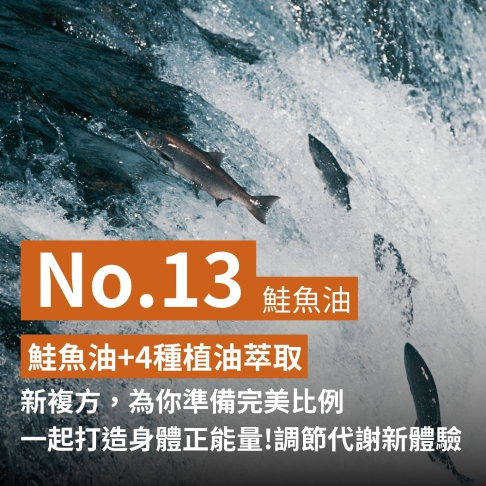 紐森樹 鮭魚油 60粒/瓶 Omega-3 DHA EPA 月見草 亞麻仁 魚油 美國進口保健食品-細節圖2