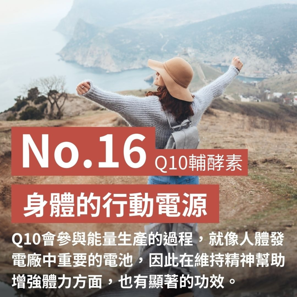 紐森樹 Q10輔酵素 60粒/瓶 輔酶 維生素B 紅景天 葡萄籽 銀杏果 植物固醇 綠茶萃取 美國進口保健食品-細節圖2