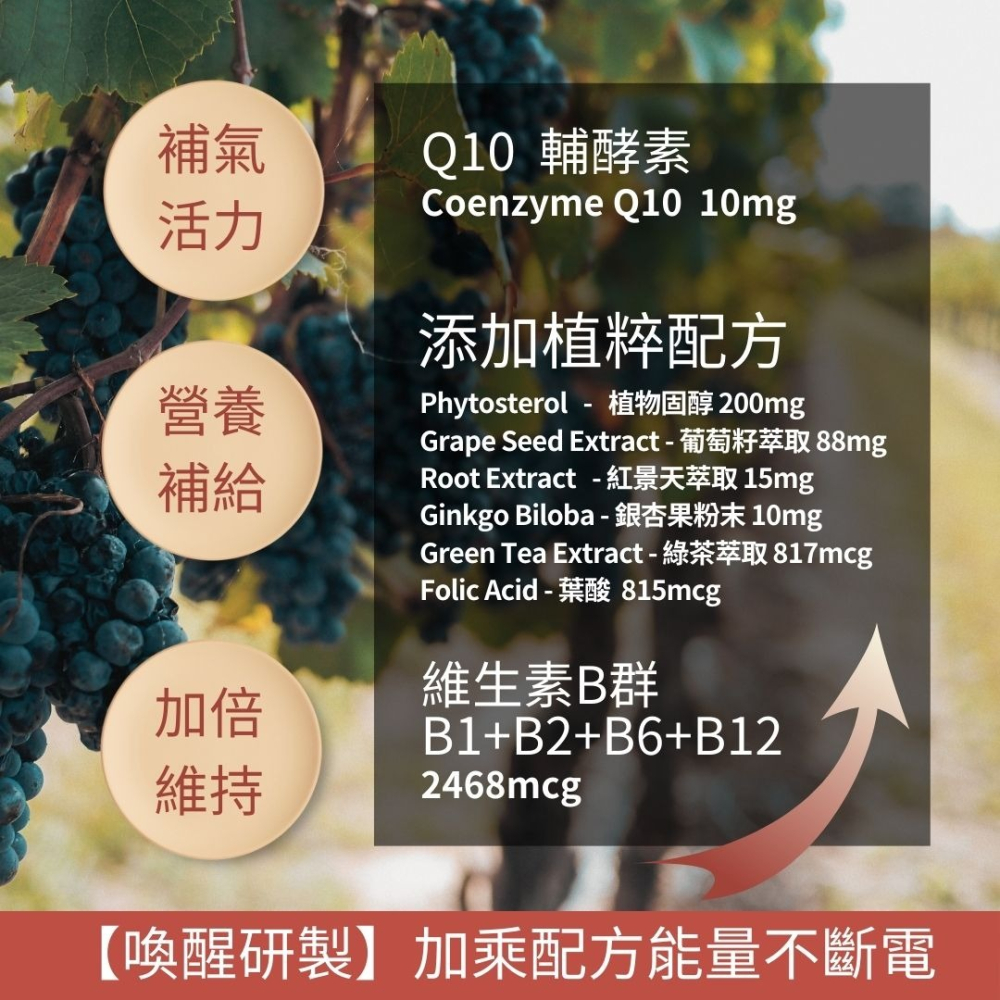 紐森樹 Q10輔酵素 60粒/瓶 輔酶 維生素B 紅景天 葡萄籽 銀杏果 植物固醇 綠茶萃取 美國進口保健食品-細節圖3