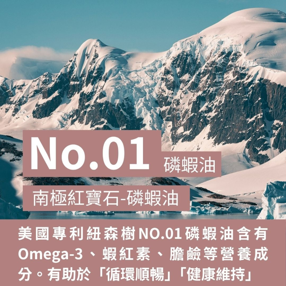 紐森樹 磷蝦油 30粒/瓶 磷蝦油500mg 蝦紅素 Omega-3 膽鹼 DHA EPA 美國進口保健食品-細節圖2