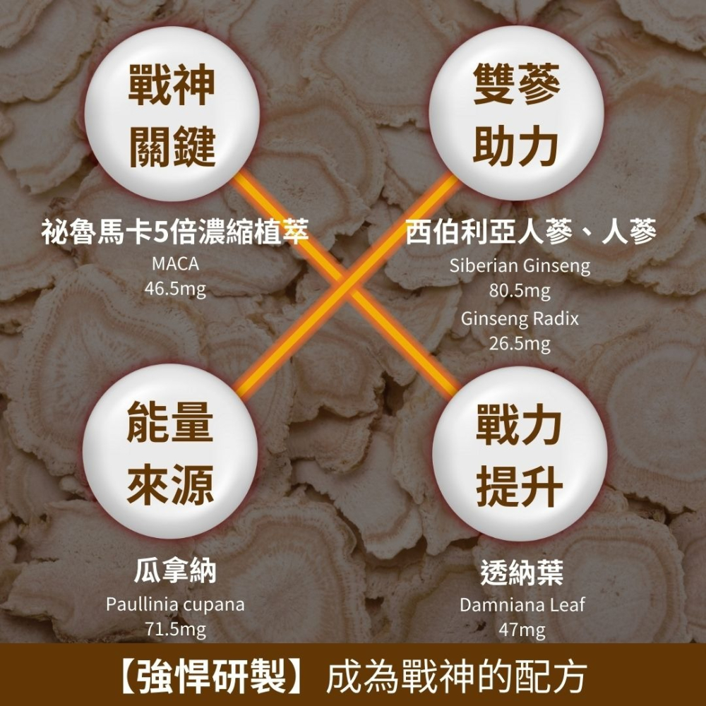 紐森樹 馬卡 60粒/瓶 瓜拿納 透納樹葉萃取 人蔘 靈芝子實體 西伯利亞人參 美國進口保健食品-細節圖3