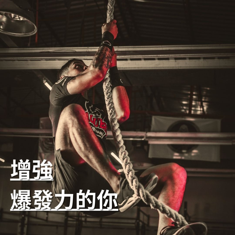 紐森樹 馬卡 60粒/瓶 瓜拿納 透納樹葉萃取 人蔘 靈芝子實體 西伯利亞人參 美國進口保健食品-細節圖4