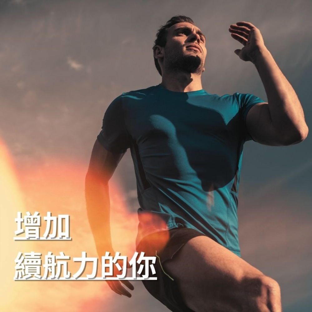 紐森樹 馬卡 60粒/瓶 瓜拿納 透納樹葉萃取 人蔘 靈芝子實體 西伯利亞人參 美國進口保健食品-細節圖5