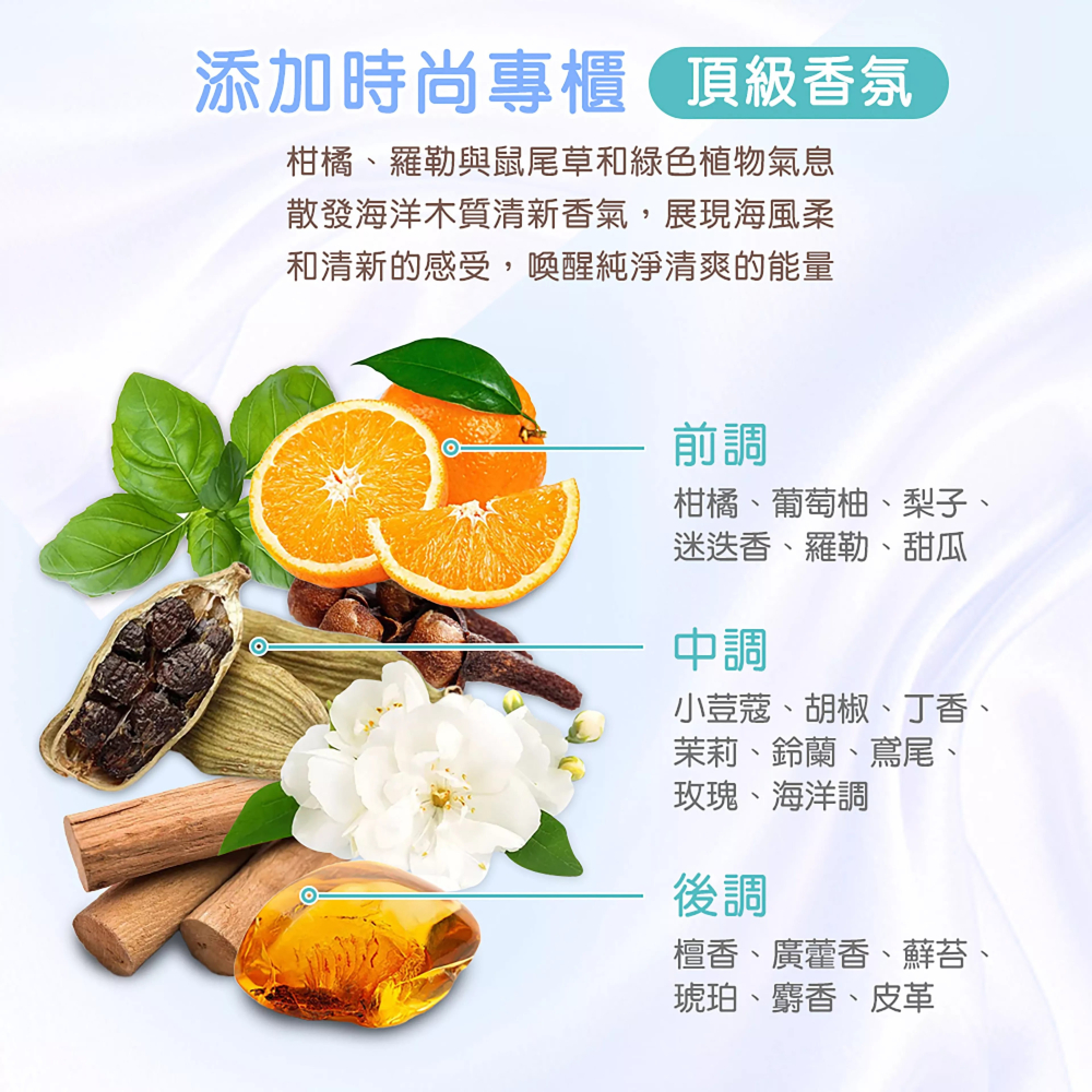 【森活植人】逗柴貓 薄荷控油涼感洗髮露 500ml-海洋木質調-細節圖4