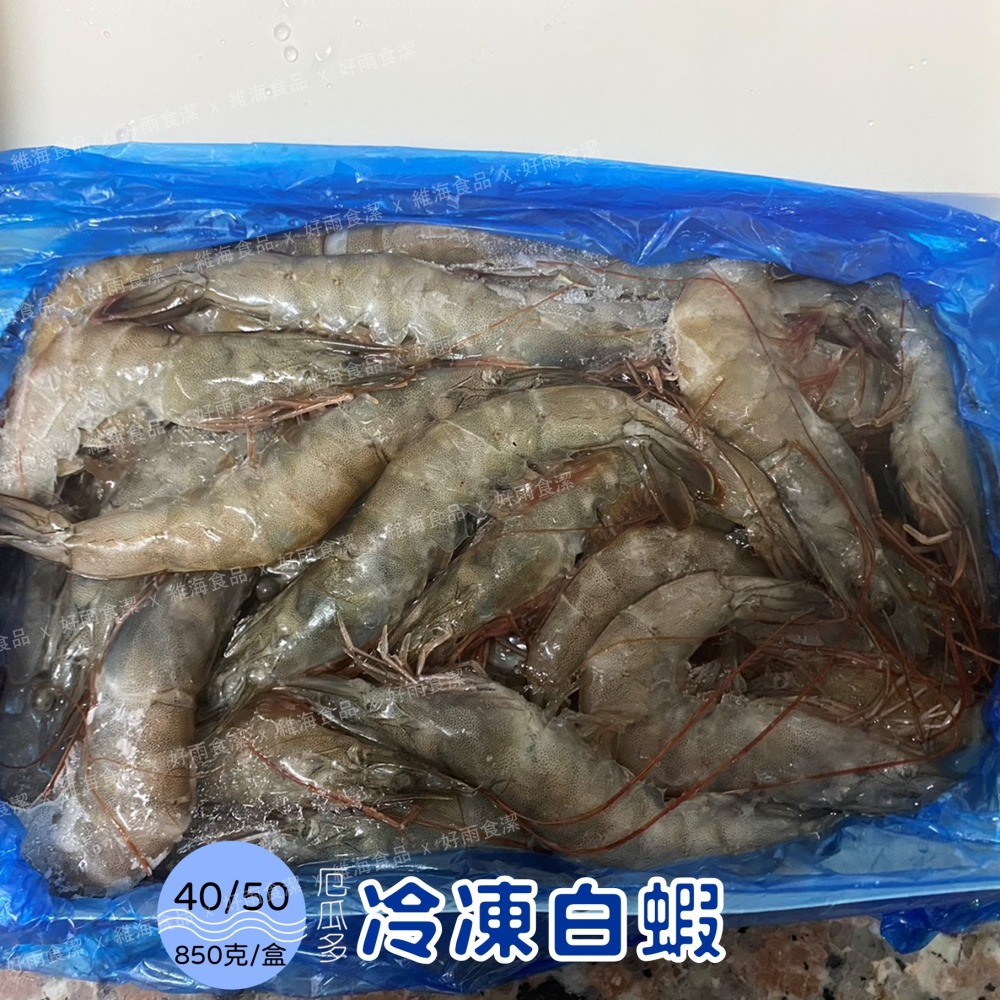 冷凍白蝦(40/50)-細節圖2
