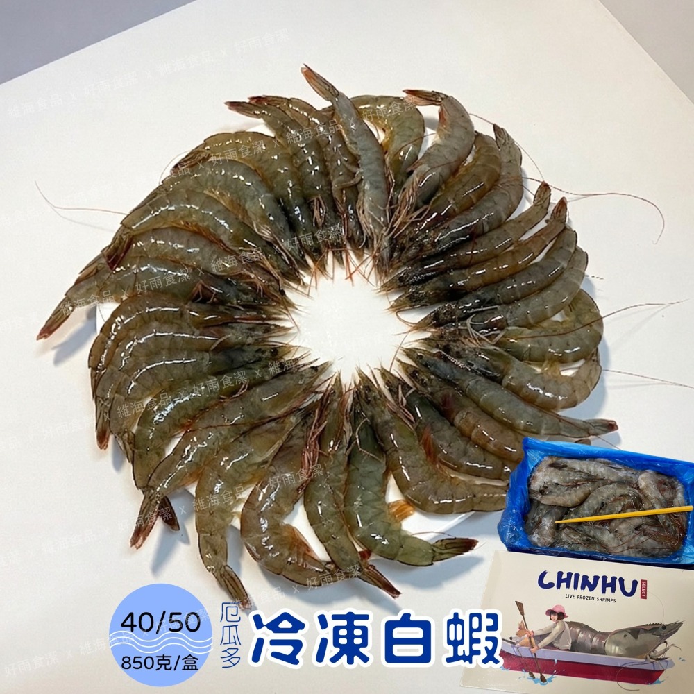 冷凍白蝦(40/50)-細節圖4