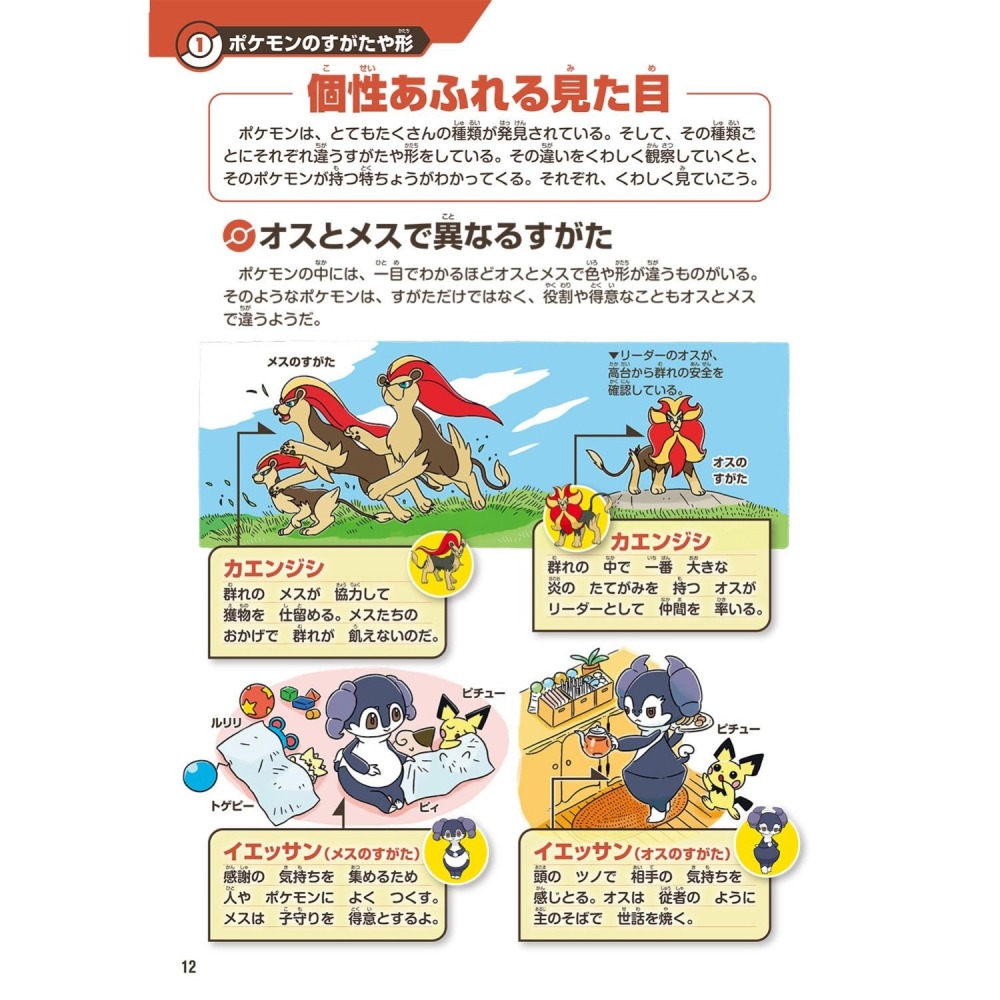 現貨 日本寶可夢中心 寶可夢生態圖鑑《ポケモン生態図鑑 》-細節圖4
