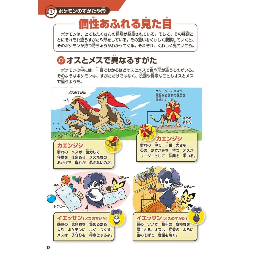 現貨 日本寶可夢中心 寶可夢生態圖鑑《ポケモン生態図鑑 》-細節圖4