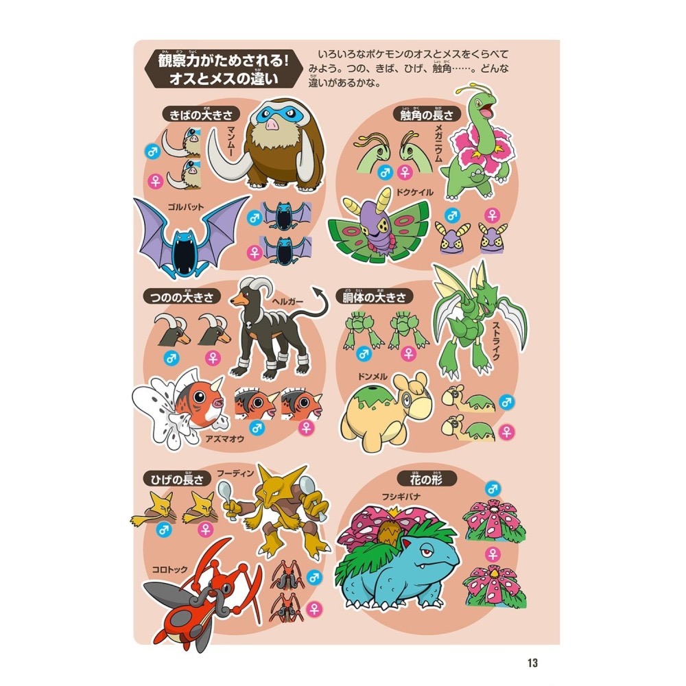 現貨 日本寶可夢中心 寶可夢生態圖鑑《ポケモン生態図鑑 》-細節圖5