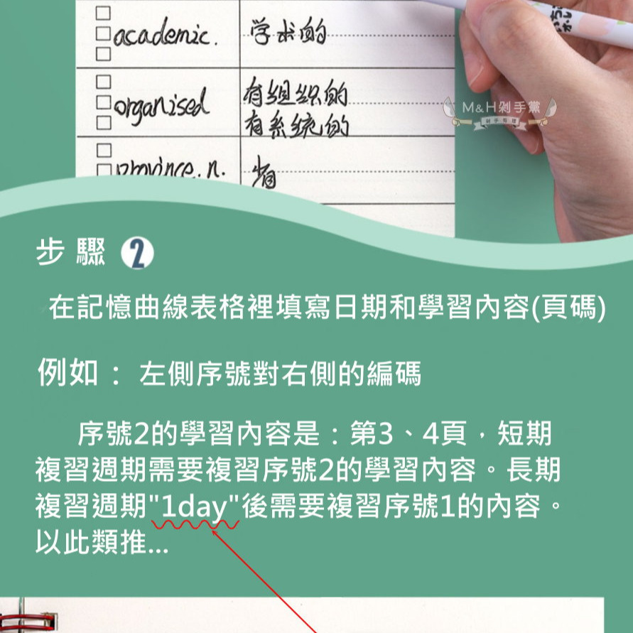 【M&H剁手黨】(現貨) 📒可愛單字本 英文 筆記 單字卡 活頁筆記本 遺忘曲線 遮擋記憶-細節圖6