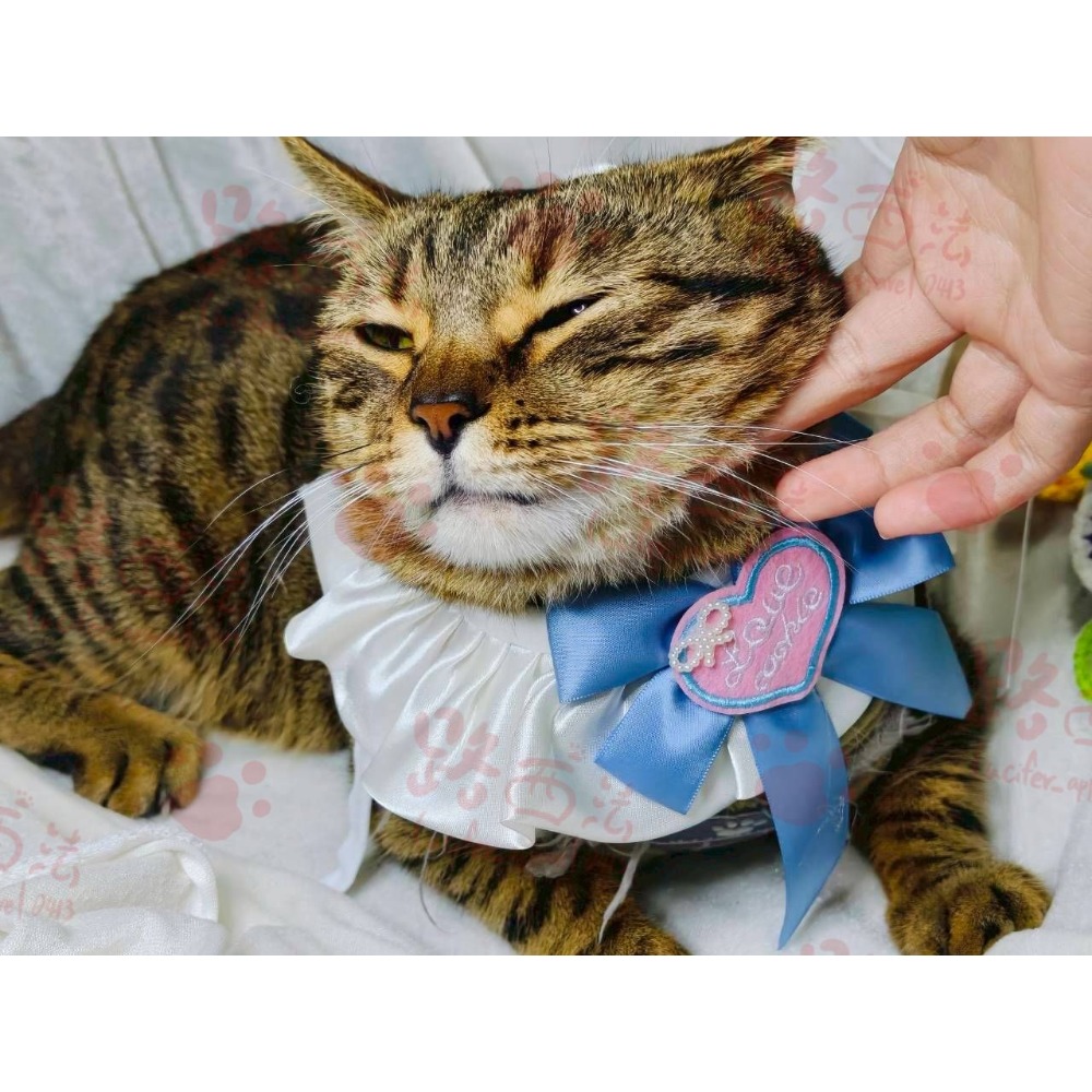 愛心藍