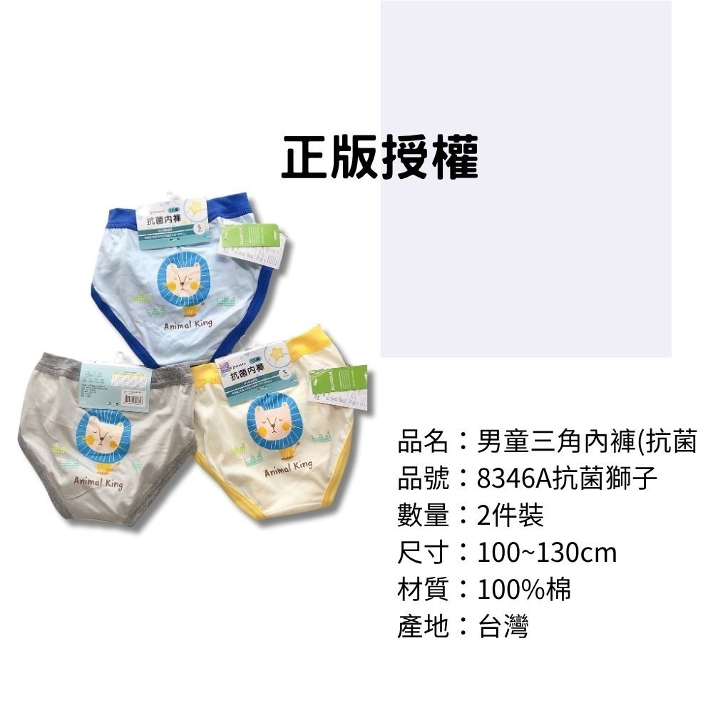 8346A抗菌獅子男童三角褲2入組 台灣製造 100%純棉 兒童內褲 男童三角內褲  抗菌內褲-細節圖3