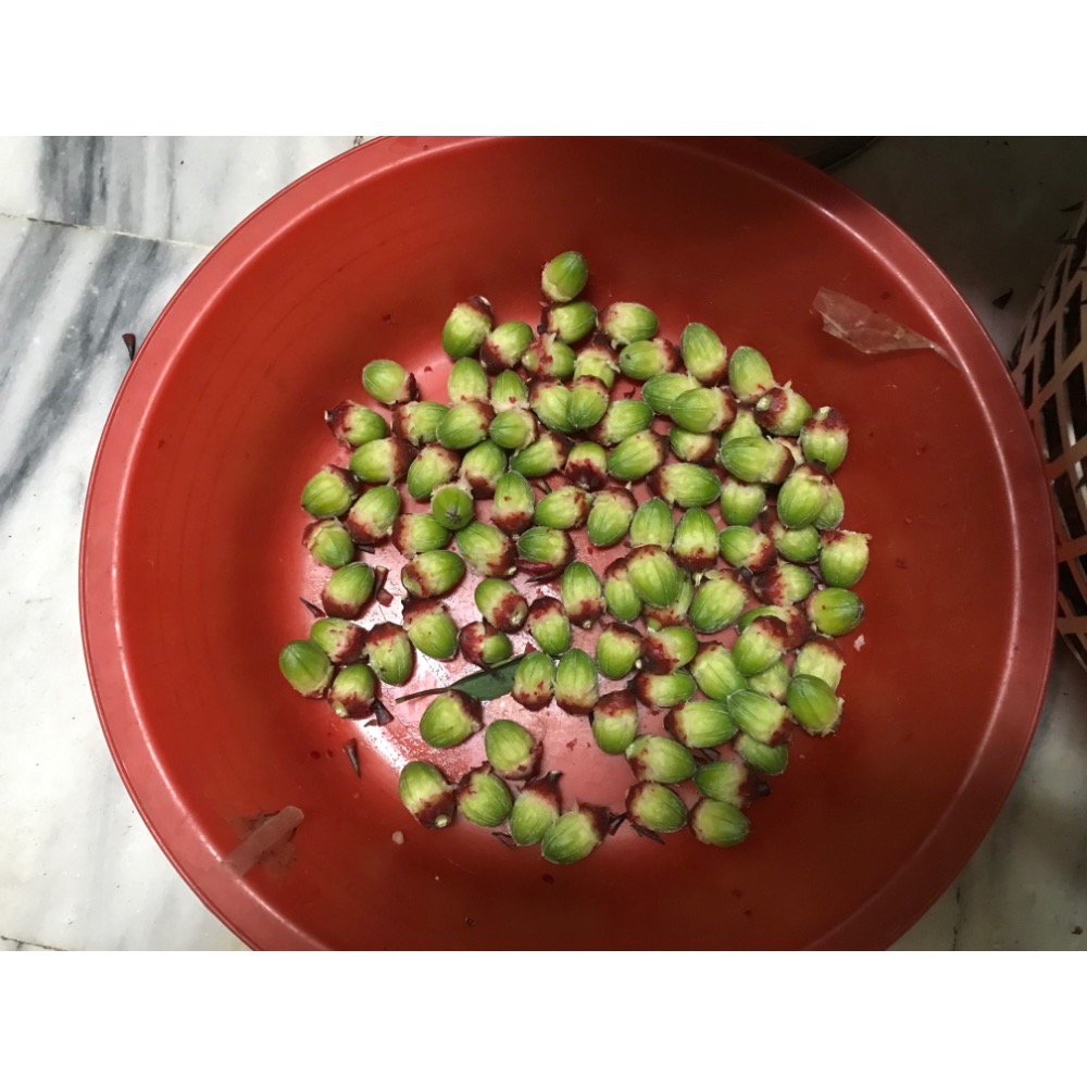 無毒洛神花乾 (1包100g)-細節圖3