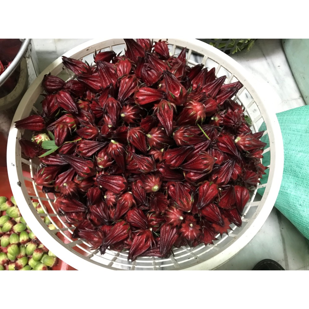 無毒洛神花乾 (1包100g)-細節圖4