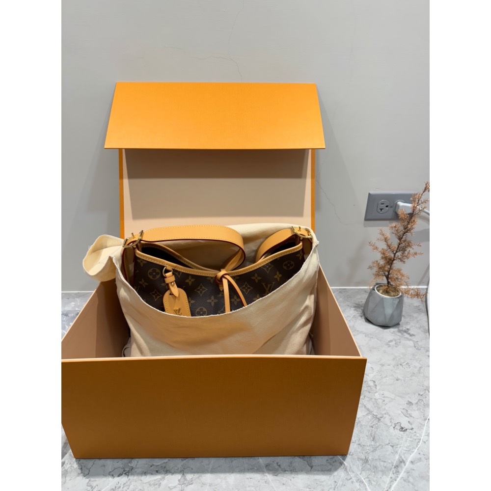 LV Louis Vuitton CarryAll PM Monogram-細節圖4