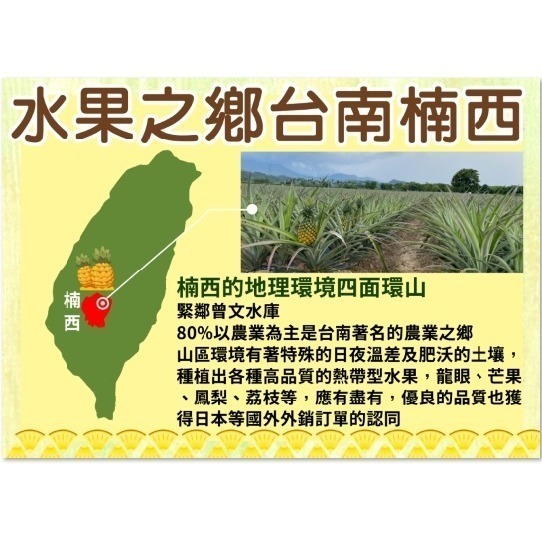 【沛笙】 台南楠西小農鳳梨果乾🍍（天然/無加糖/在地小農/金鑽鳳梨/現貨）-細節圖3