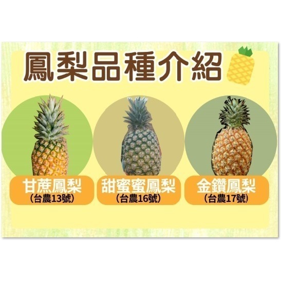 【沛笙】 台南楠西小農鳳梨果乾🍍（天然/無加糖/在地小農/金鑽鳳梨/現貨）-細節圖8