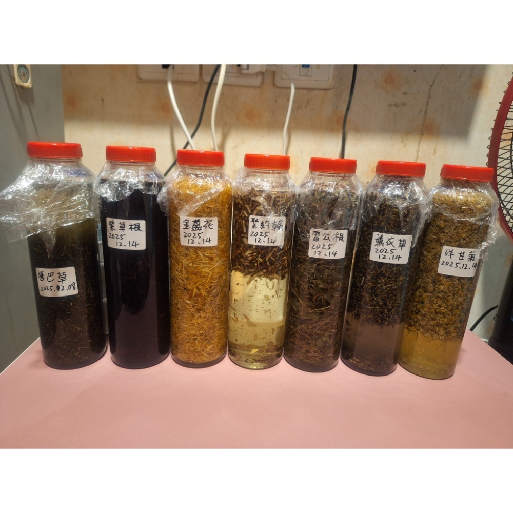 女巫手作61●手工花草浸泡油 高比值1:1 聖約翰 薰衣草 雷公根 紫草根 金盞花 洋甘菊 勘巴草 甜杏仁-細節圖2