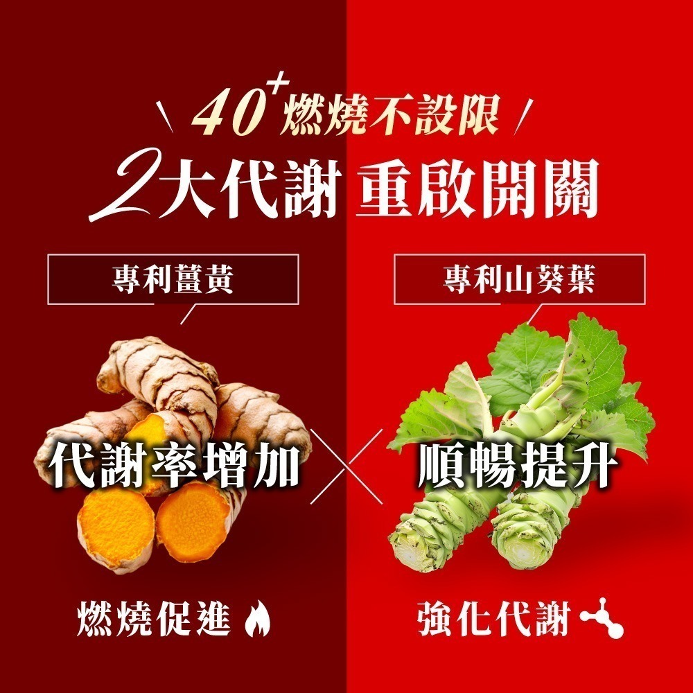 Dr. Calorie 美体專科 碎酯錠40+ (30顆/盒) (李佳穎推薦 代謝 順暢)-細節圖5