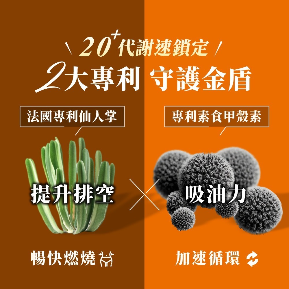 Dr. Calorie 美体專科 碎酯錠20+ (30顆/盒)( 代謝、順暢)-細節圖6