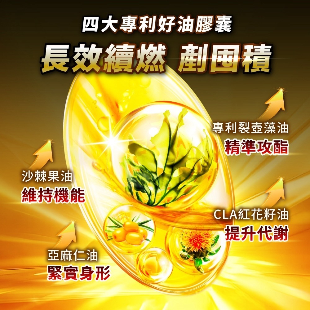 CHOYeR 曲易 極塑魔鬼DX 膠囊(20顆/盒)(李燕推薦)-細節圖3